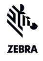zebra1